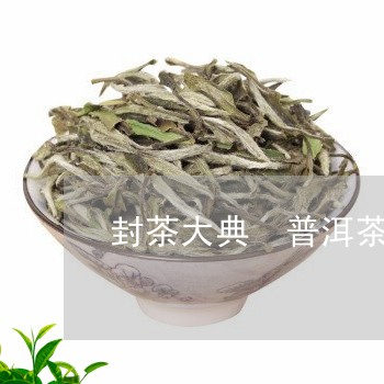 封茶大典 普洱茶/2023031732594